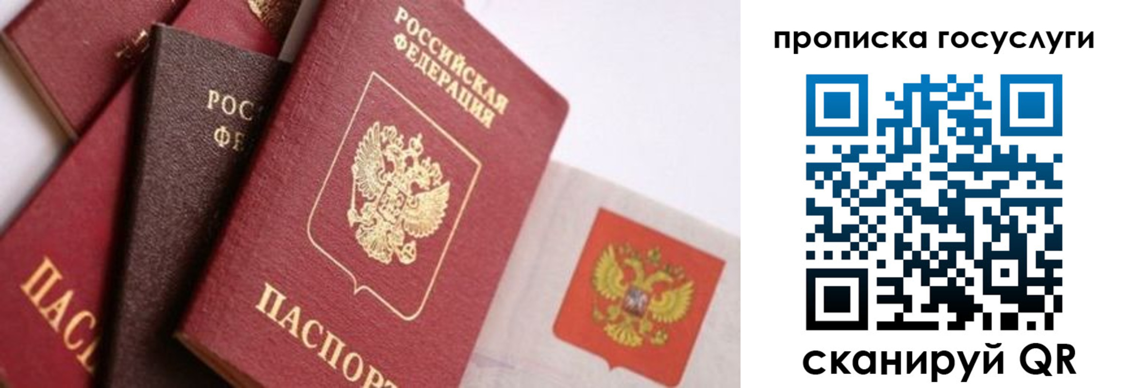 прописка законно в Козьмодемьянске